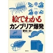 絵でわかるカンブリア爆発（講談社） [電子書籍]