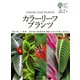 カラーリーフプランツ（誠文堂新光社） [電子書籍]