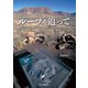 ルーツを追って（誠文堂新光社） [電子書籍]