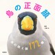 鳥の正面顔（玄光社） [電子書籍]