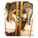 ココニャさんちの障子破り猫軍団（河出書房新社） [電子書籍]