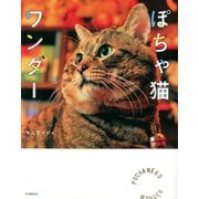 ぽちゃ猫ワンダー（河出書房新社） [電子書籍]