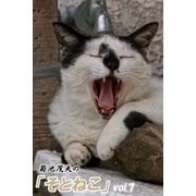 菊池茂夫の「そとねこ」vol.7（月刊デジタルファクトリー） [電子書籍]
