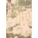 運命みたいな偶然に、あと何度めぐり逢えるだろう。（KADOKAWA） [電子書籍]