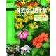 ワイド図鑑 里山・山地の身近な山野草（主婦の友社） [電子書籍]