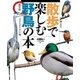 散歩で楽しむ野鳥の本（山と溪谷社） [電子書籍]