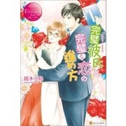完璧彼氏と完璧な恋の進め方 （アルファポリス） [電子書籍]