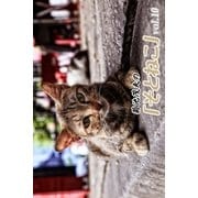 菊池茂夫の「そとねこ」vol.10（月刊デジタルファクトリー） [電子書籍]