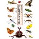虫の呼び名事典（世界文化社） [電子書籍]