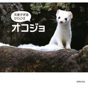 天使すぎるかわいさ オコジョ（世界文化社） [電子書籍]