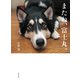 またね、富士丸。（世界文化社） [電子書籍]