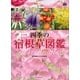 四季の宿根草図鑑 決定版（講談社） [電子書籍]