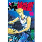 湘南純愛組！（16）（講談社） [電子書籍]