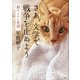 さあ、文学で戦争を止めよう 猫キッチン荒神（講談社） [電子書籍]