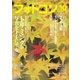 フォトコン2017年10月号（日本写真企画） [電子書籍]