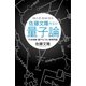 佐藤文隆先生の量子論 干渉実験・量子もつれ・解釈問題（講談社） [電子書籍]