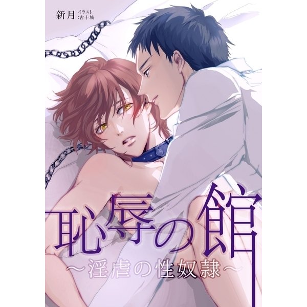 恥辱の館～淫虐の性奴隷～（ネットワーク出版） [電子書籍]