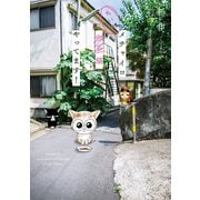 メチャイロちいき猫やってます！（秋水社ORIGINAL） [電子書籍]