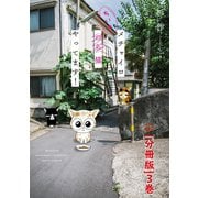 メチャイロちいき猫やってます！【分冊版】3（秋水社ORIGINAL） [電子書籍]