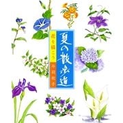 花を描こう 夏の散歩道 （マール社） [電子書籍]