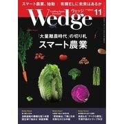 WEDGE（ウェッジ） 2017年11月号（ウェッジ） [電子書籍]
