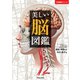 美しい脳図鑑（笠倉出版社） [電子書籍]
