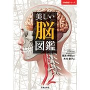 美しい脳図鑑（笠倉出版社） [電子書籍]