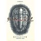 細腕三畳紀（講談社） [電子書籍]