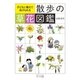 散歩の草花図鑑（大和書房） [電子書籍]