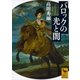バロックの光と闇（講談社） [電子書籍]