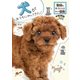 犬がおうちにやってきた！（学研） [電子書籍]