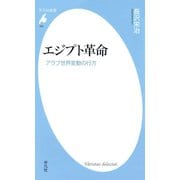 エジプト革命（平凡社） [電子書籍]