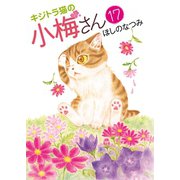 キジトラ猫の小梅さん(17)（少年画報社） [電子書籍]