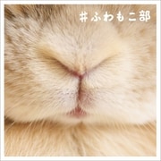 ＃ふわもこ部 （ワニブックス） [電子書籍]