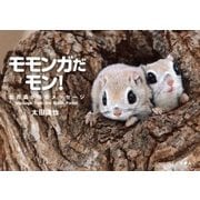 モモンガだモン！北の森からのメッセージ（天夢人） [電子書籍]