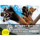のら猫拳（エムディエヌコーポレーション） [電子書籍]