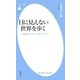 目に見えない世界を歩く（平凡社） [電子書籍]