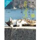 瀬戸内海の猫が教えてくれた、だらりのらりと生きる術。（KADOKAWA） [電子書籍]