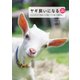 ヤギ飼いになる New edition！（誠文堂新光社） [電子書籍]