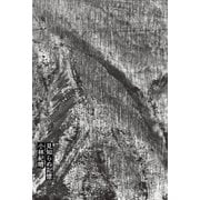 見知らぬ記憶（平凡社） [電子書籍]