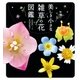 美しき小さな雑草の花図鑑（山と溪谷社） [電子書籍]