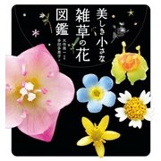 美しき小さな雑草の花図鑑（山と溪谷社） [電子書籍]