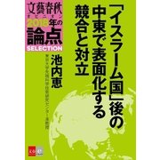 「イスラーム国」後の中東で表面化する競合と対立【文春オピニオン 2018年の論点SELECTION】（文藝春秋） [電子書籍]