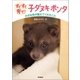 すくすく育て！ 子ダヌキ ポンタ（学研） [電子書籍]