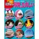 ワンダーキッズペディア11 科学1 ～科学はたのしい～（小学館） [電子書籍]