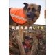 世の中への扉 災害救助犬レイラ（講談社） [電子書籍]