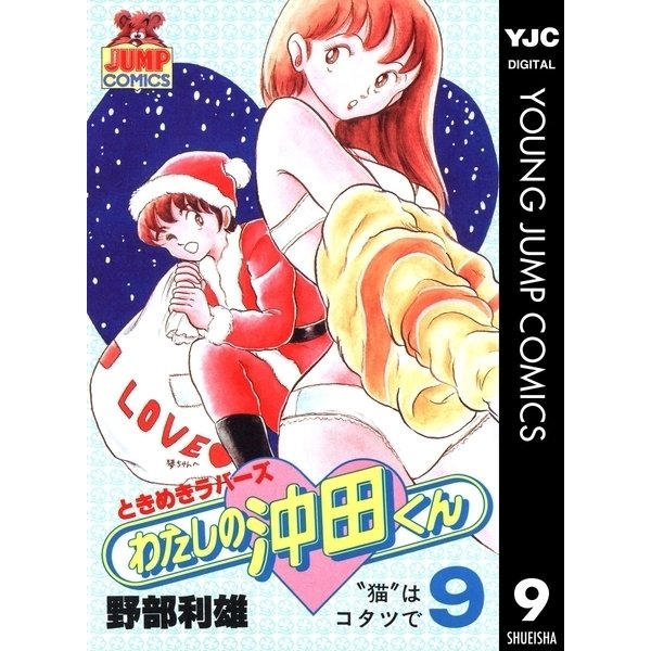 わたしの沖田くん 9（集英社） [電子書籍]