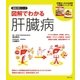図解でわかる肝臓病（主婦の友社） [電子書籍]