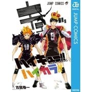 ハイキュー！！ 公式カラーイラスト集 ハイカラ！！（集英社） [電子書籍]