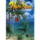 ホライゾン 第14号（エアポートTVネットワークジャパン） [電子書籍]